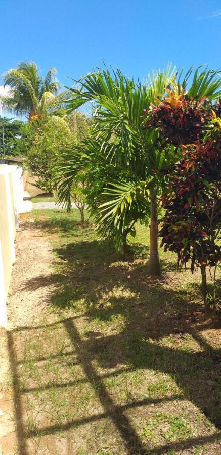 Villa Bethlehem Self-Catering Anse Boileau Exterior foto